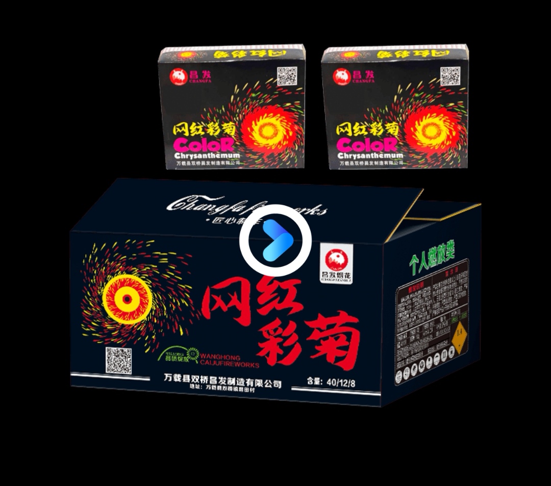 网红彩菊
