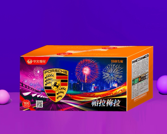 166发帕拉梅拉